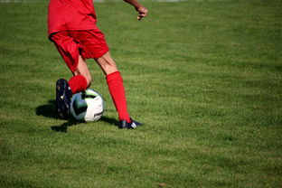 开云官网-基层足球项目评估体系尚未建立 第2张 开云官网-基层足球项目评估体系尚未建立 第2张